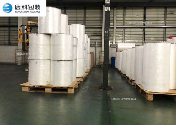 Film Thermoforming Transparan